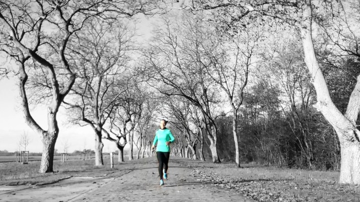 IMG_20171117_112704.857-01