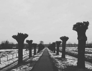 IMG_20170128_180102_140